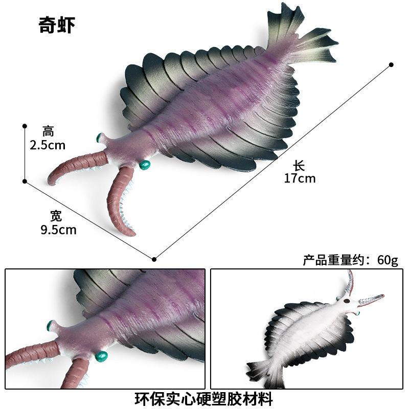 儿童玩具仿真远古生物鹦鹉螺三叶虫奇虾寒武纪海洋动物模型摆件bx小