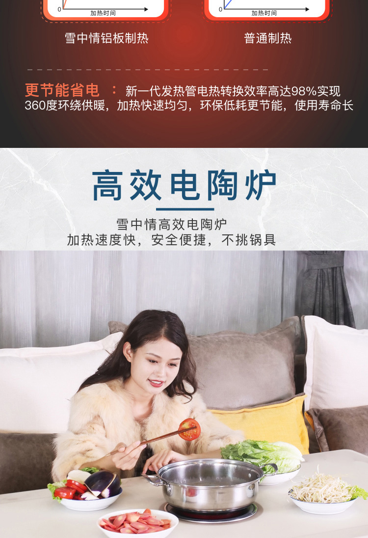 雪中情(xuezhongqing)取暖电器xzq-4 雪中情电暖炉电暖桌升降取暖茶几