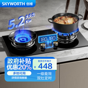 创维(Skyworth)燃气灶双灶 家用5.2kW猛火九孔聚能定时灶爆炒鸳鸯灶具 台式嵌入式灶台 Z211B天然气