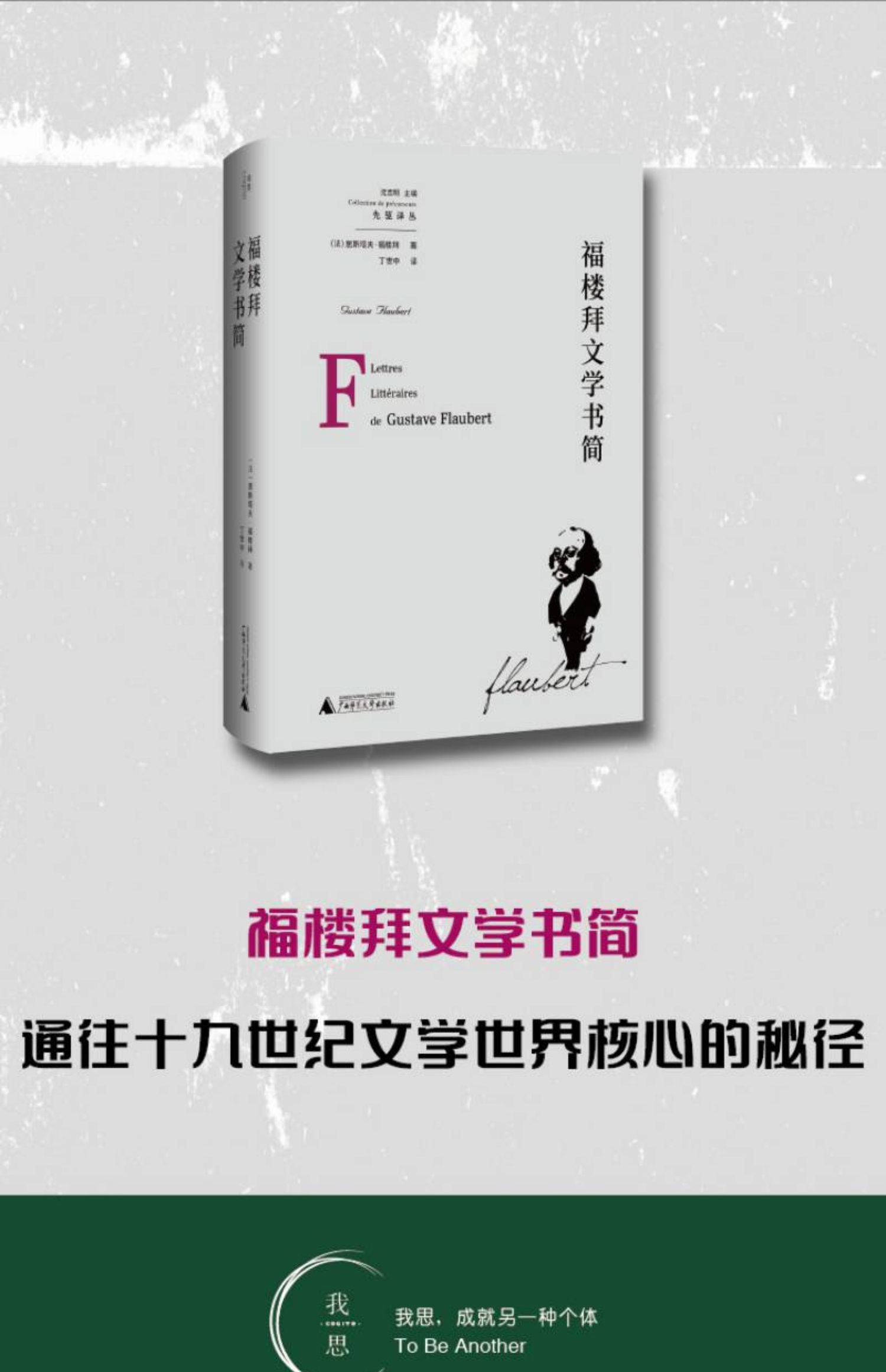福楼拜文学书简 (法)居斯塔夫·福楼拜 /著 福楼拜书信 法国文学 广西