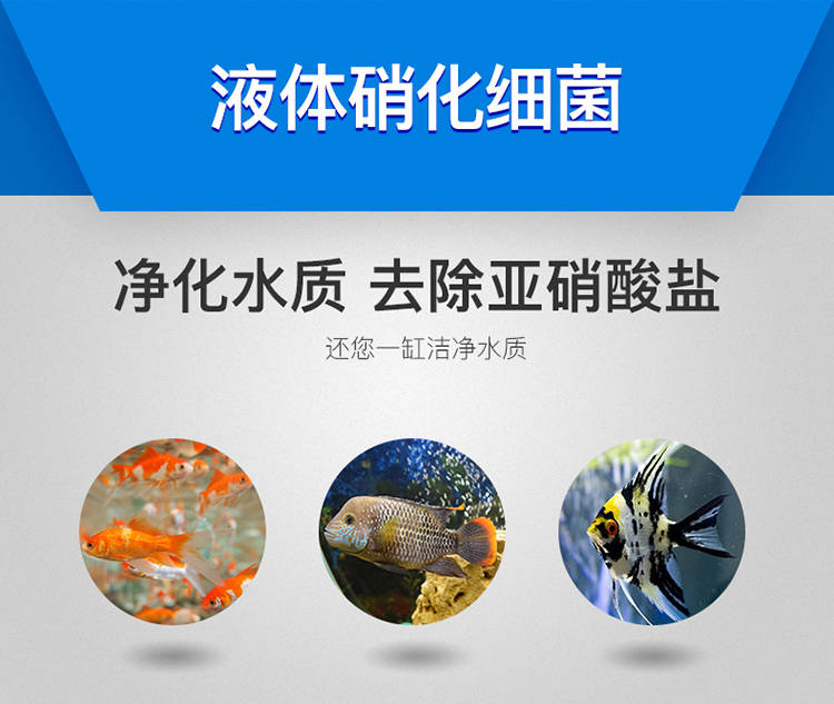 硝化细菌水族消化细菌鱼缸净水剂液体淡海水通用换水常备养鱼用品