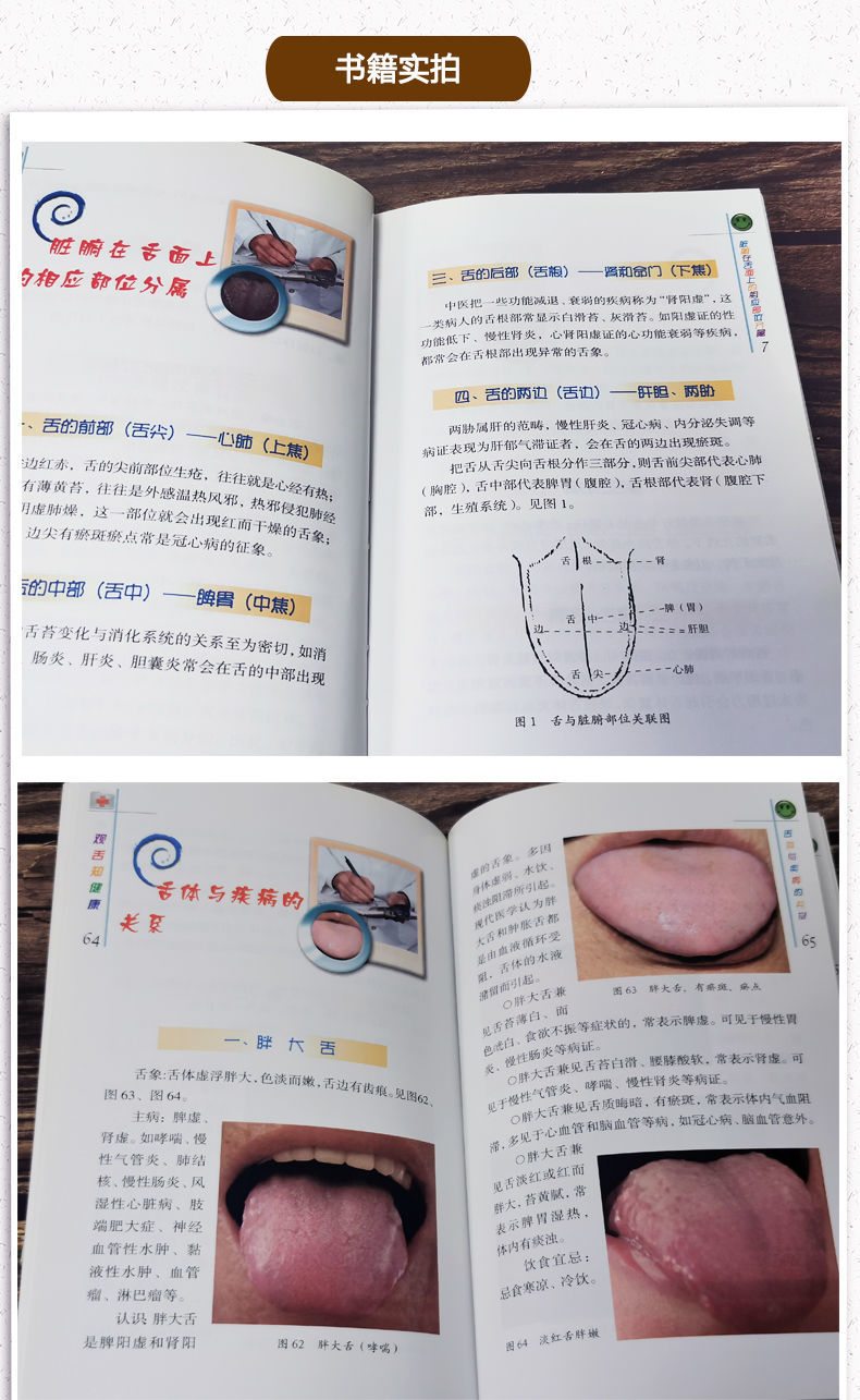 观手知健康全息手诊图解全书舌诊入门到精通蔡洪光中医望诊观舌知健康