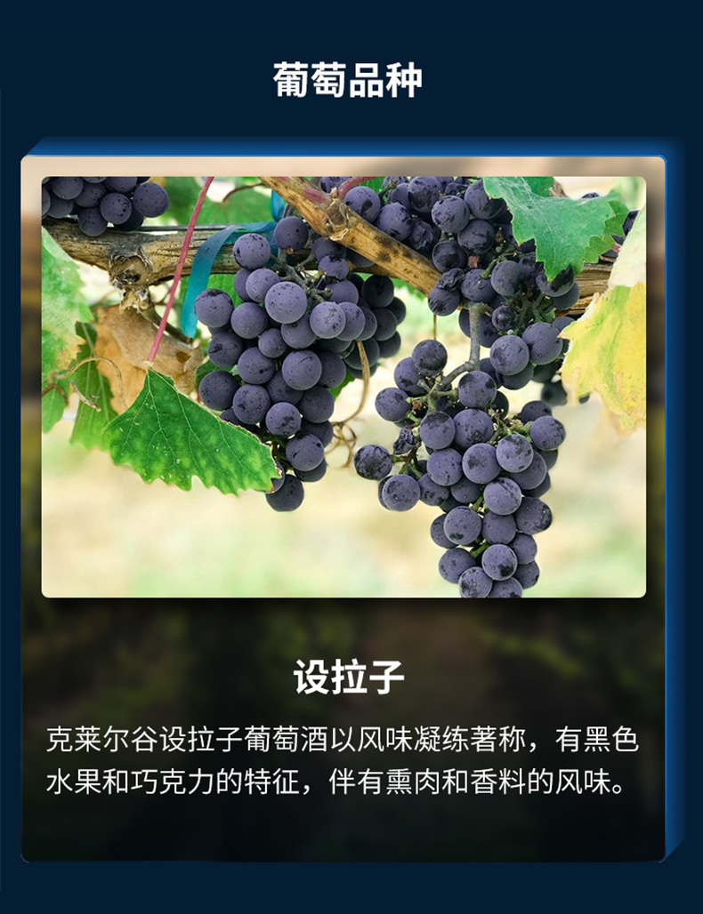 澳大利亚进口红酒 歌浓酒庄9k酒庄酿酒师珍藏设拉子干红葡萄酒750ml