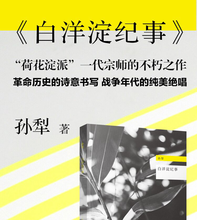 白洋淀纪事人生悦读系列丛书