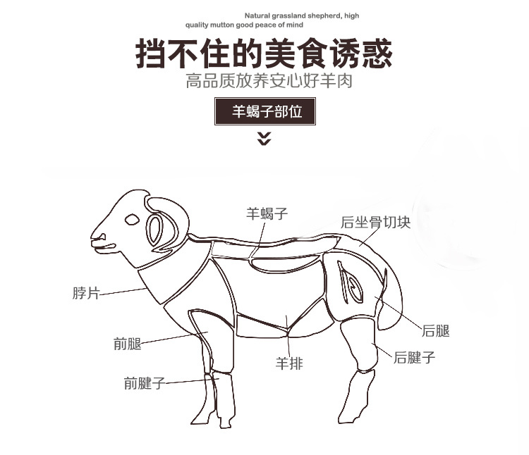 新鲜肉多羊蝎子 羊肉蝎子火锅 送炖料 羊蝎子2斤(试吃装)送炖肉料