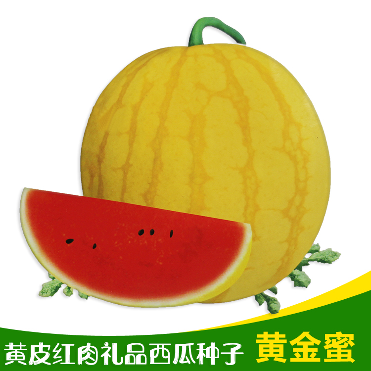 致源皮红瓤西瓜种子金玲珑西瓜种子金蜜水果红肉礼品小西瓜早熟