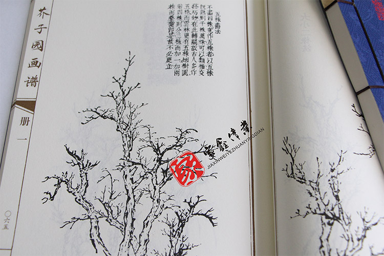 正版 芥子园画谱 芥子园画传山水画花鸟画人物画 芥子园画谱彩色版