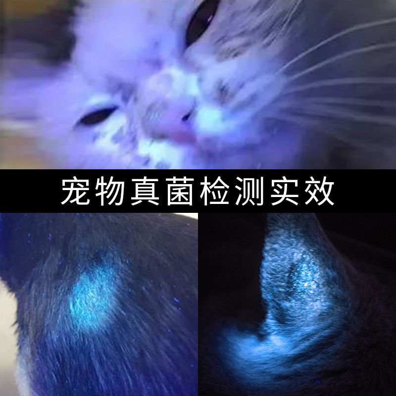 猫癣灯365紫光手电筒uv伍德式灯专业猫狗狗尿液真菌白癜风检测灯普通