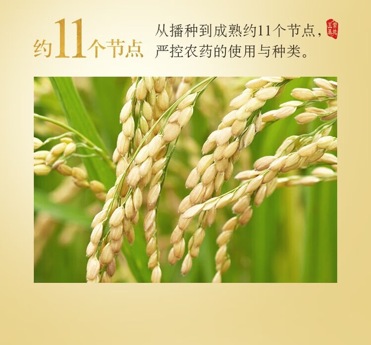 7fceb8f3d355eb49.jpg