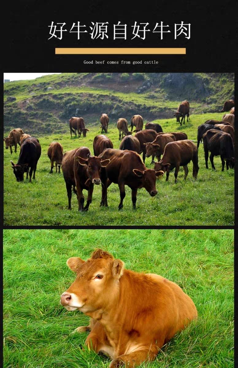 新鲜生牛蹄子 牛脚 去毛去壳黄牛蹄 牛脚掌 生牛蹄 4斤生牛脚掌