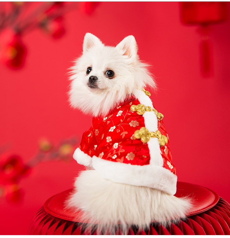 小狗狗唐装泰迪比熊猫咪过年喜庆衣服加厚小型犬女宠物新年秋冬装