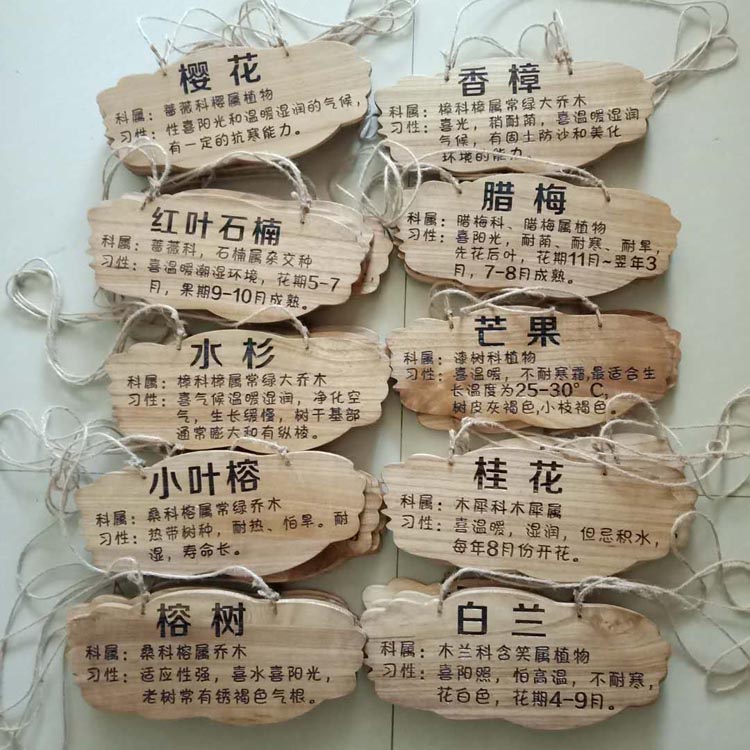 定制实木防水树牌 花园装饰木挂牌 幼儿园树木认养牌插地木牌刻 插地