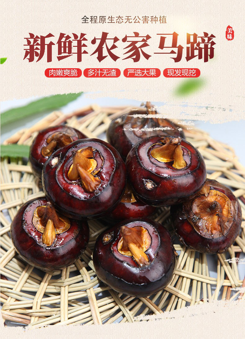 汶优香(wenyouxiang)根茎类[新鲜马蹄]农家自产荸荠水果蔬菜地栗