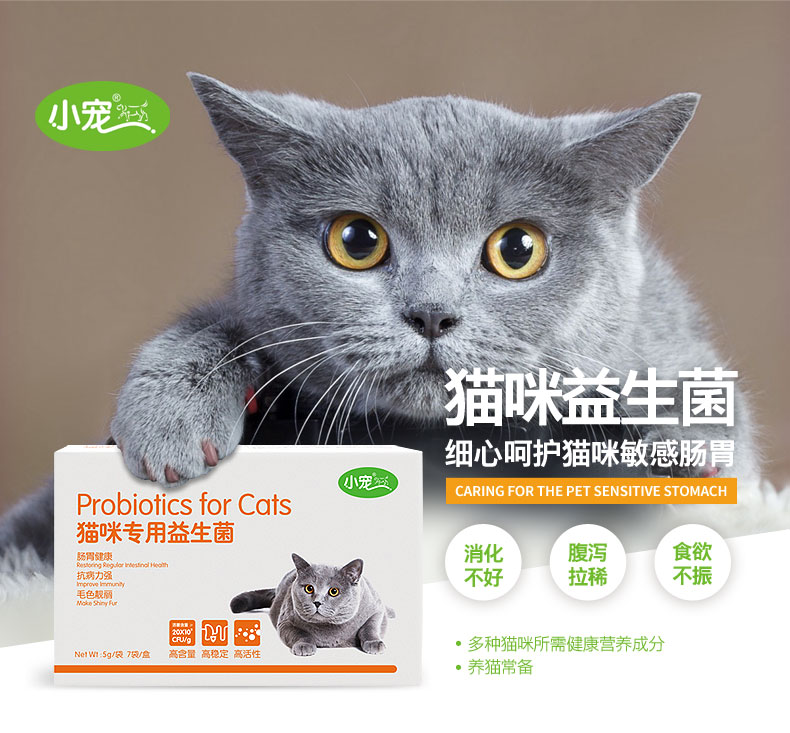 小宠猫咪益生菌调理肠胃增强抵抗力猫咪腹泻猫咪保健品