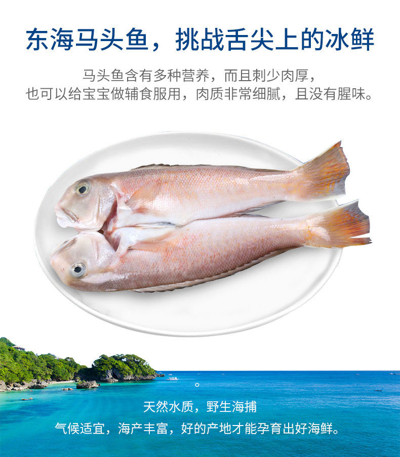 汶优香(wenyouxiang)鱼类 新货深海鱼 马头鱼 甘鲷新鲜斧头鱼鲜活冷冻