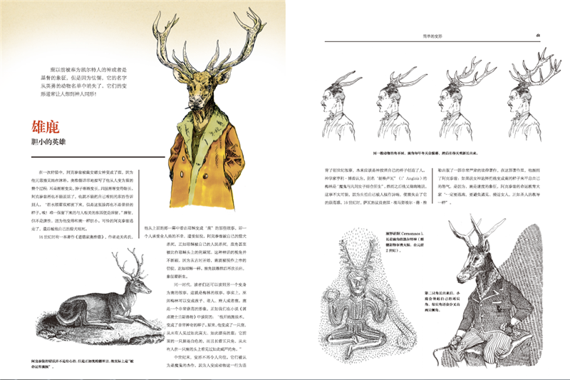 超自然变形动物图鉴大幅手绘解剖图诠释变形之美博物学家的神秘动物