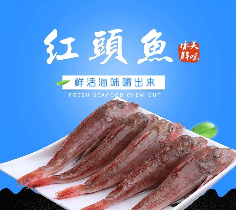 超级新品 红娘子海鱼红头鱼海捕海鱼海鲜海产品鲜活生鲜红鱼红绣鞋 4