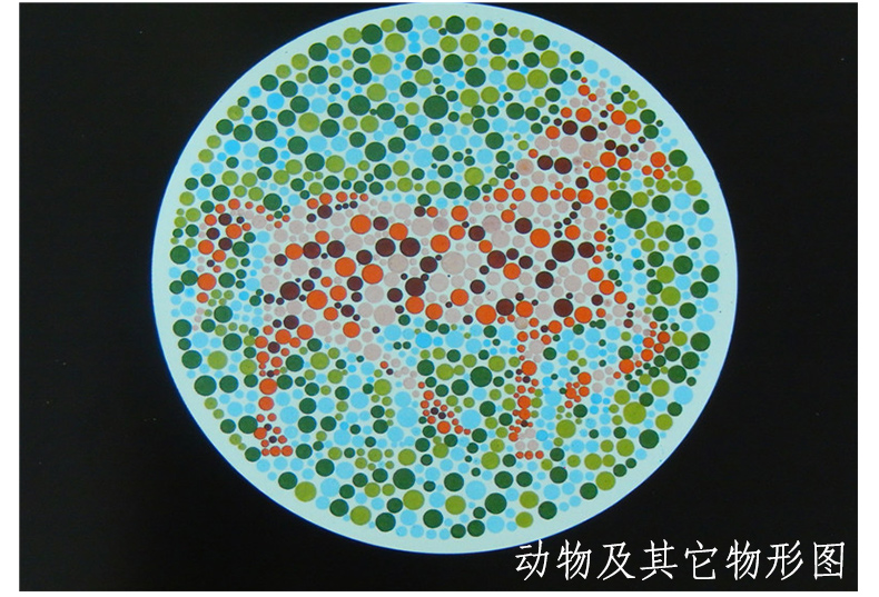 新编色觉检查图第2二版测色盲色弱的书色弱眼睛驾照体检辨色本色盲