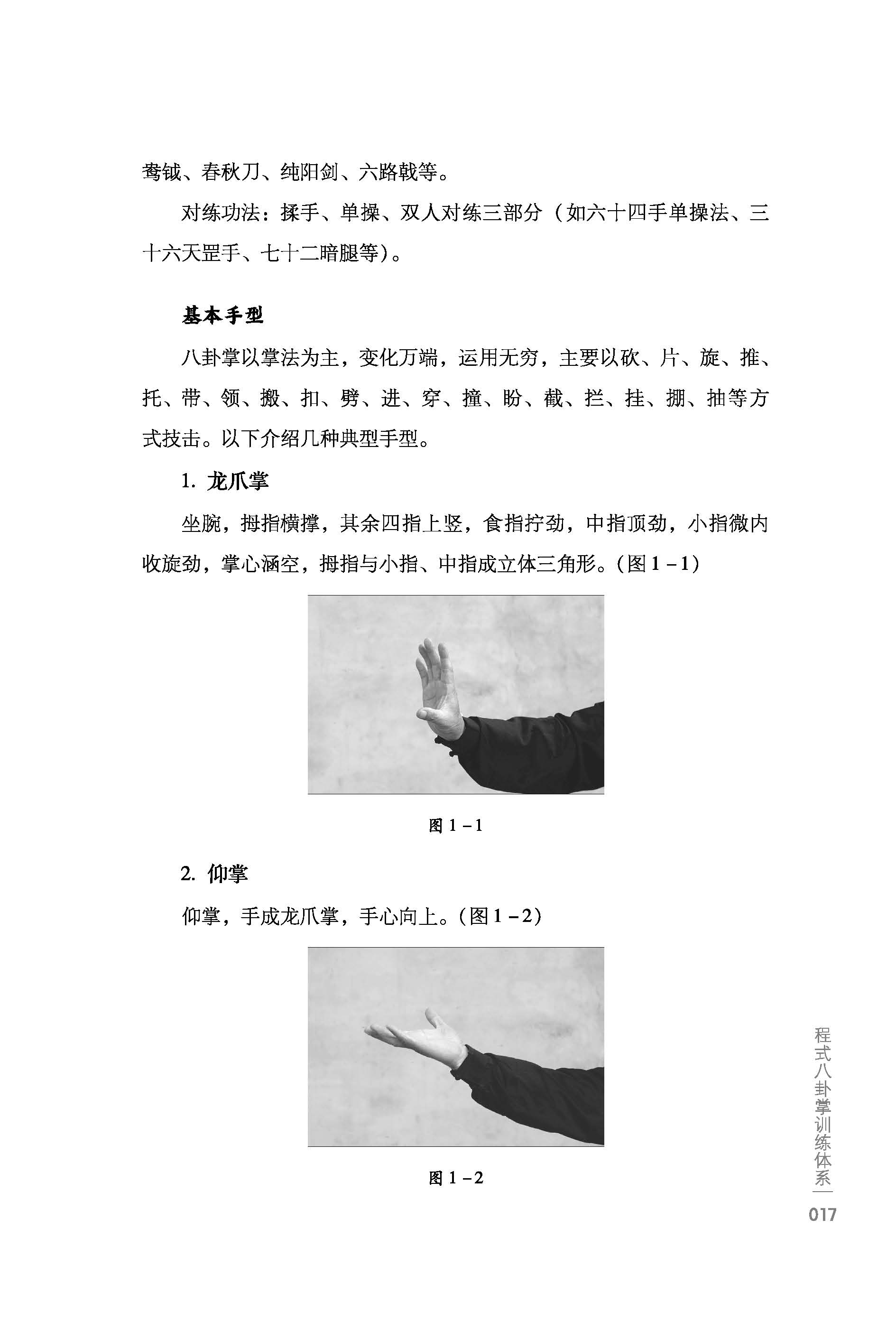 奎恩凤 传统八卦掌武术启蒙 程式行桩武术法揉身十三式九宫掌套路六