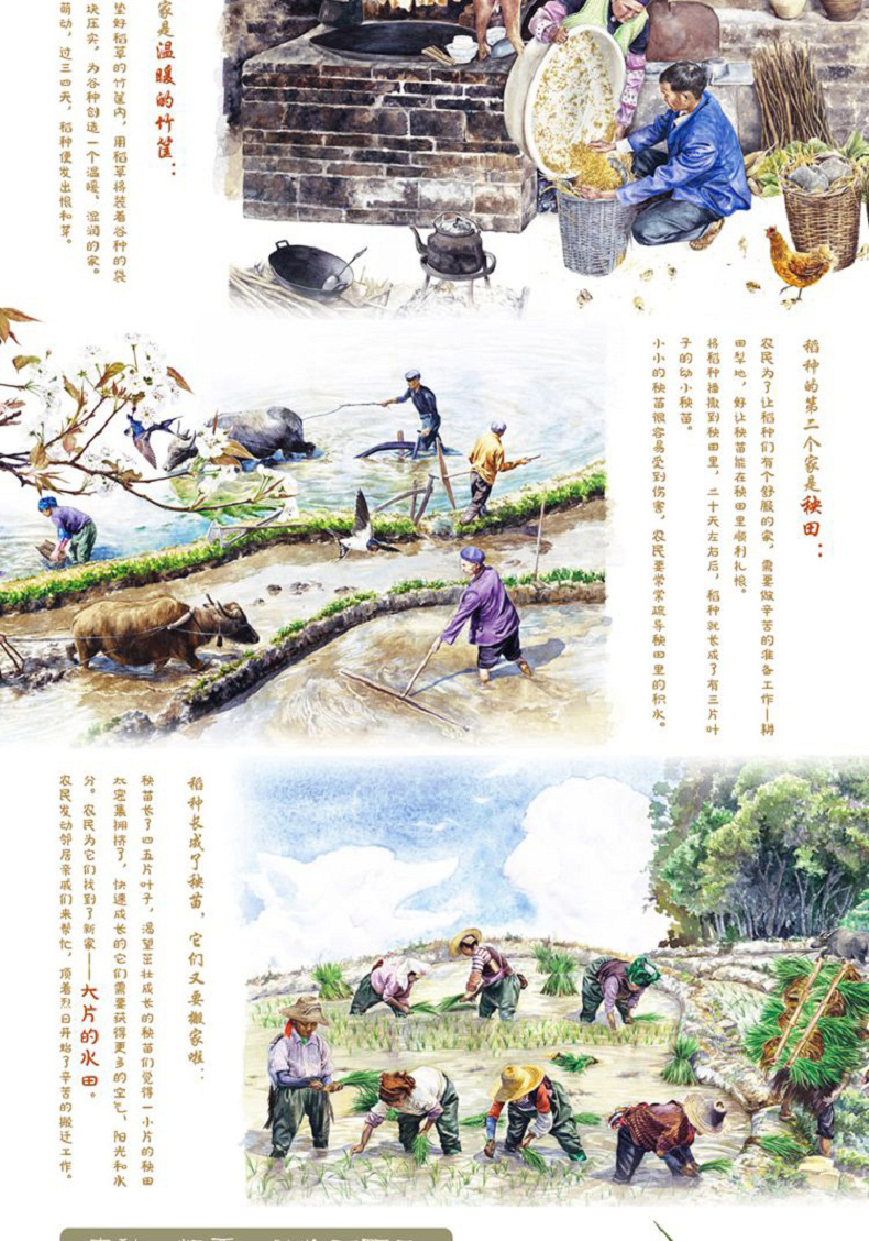 折扣新华书店正版盘中餐九神鹿绘本馆36710岁第五届丰子恺儿童图画书