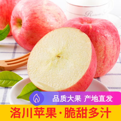 洛川苹果 陕西洛川红富士新鲜苹果水果 20枚85 国产水果延安苹果