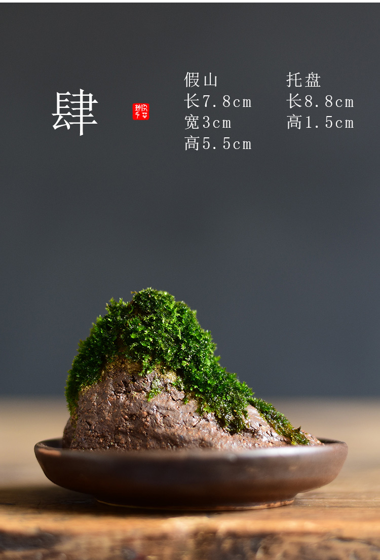 三维工匠苔藓盆栽假山吸水石盆景水培青苔造景办公室桌面净化空气花盆