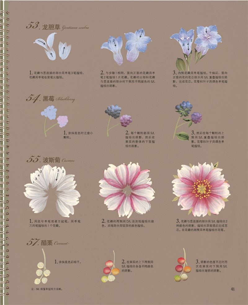 四季花图案彩绘入花卉 图案 彩绘方法简单易学 作品绘制过程图解详细