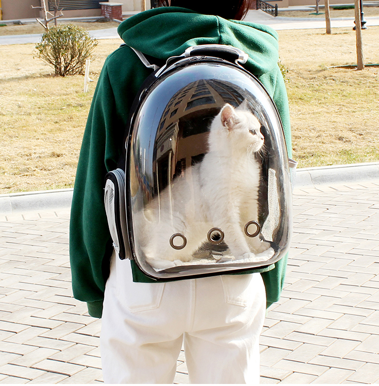 猫包太空舱外出便携背包宠物包猫咪外出