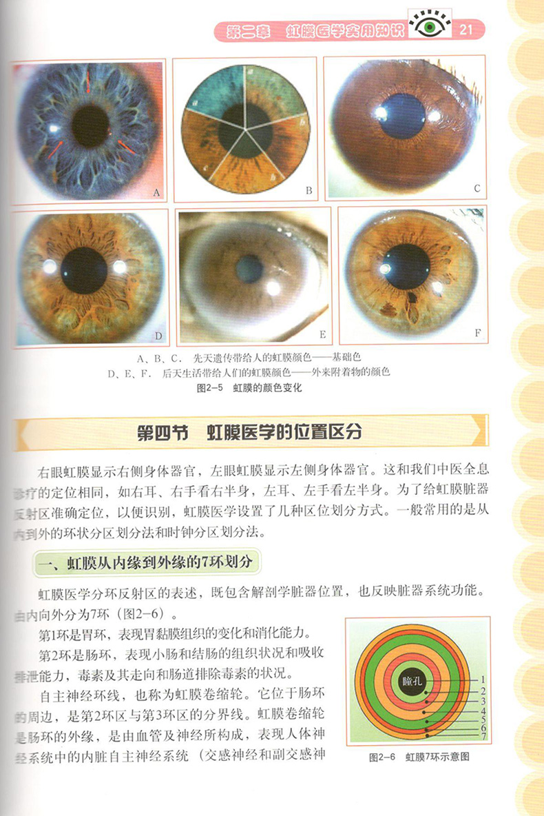 正版书籍观虹膜知健康虹膜全息诊断图谱眼科医学眼部健康医学书系列