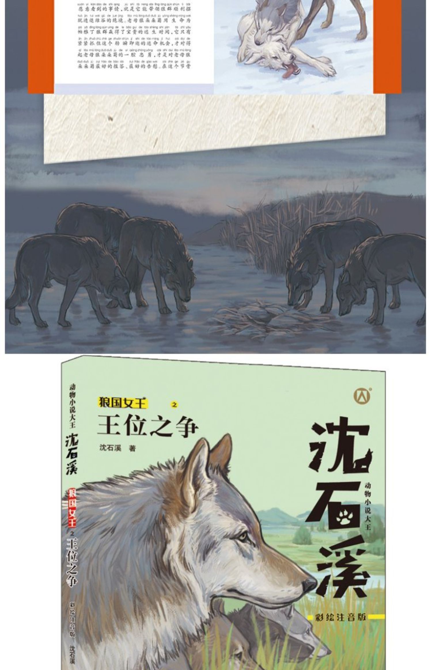 狼王宝座王位之争勇者无畏虎狼大战彩绘注音版一二三年级123年级小