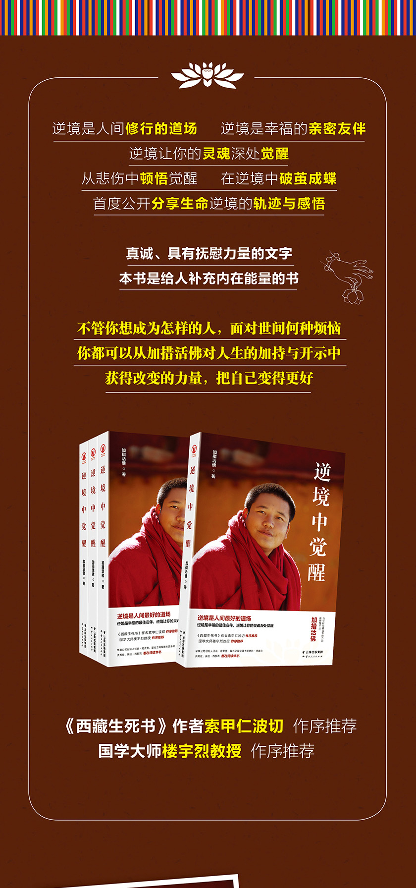 《正版 逆境中觉醒 加措活佛 西藏生死书作者索甲仁波切推荐 佛学宗教