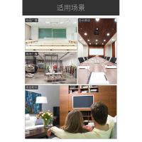 纽曼(Newsmy)功放吸顶音响 D161 6英寸一拖十