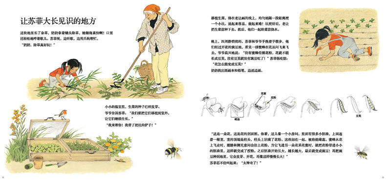 《蒲蒲兰绘本馆:它们是怎么长出来的—了解蔬菜种植的过程,揭开植物