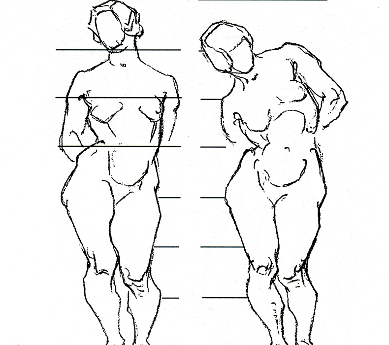 智品3本伯里曼人体结构教学伯里曼画手伯里曼画人体 临摹基础入技法