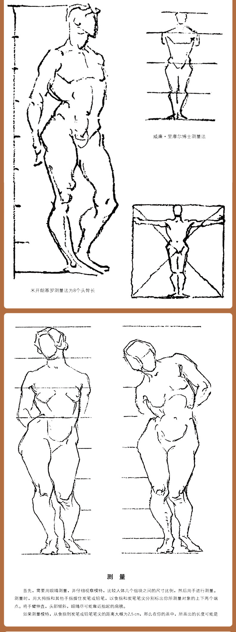 教材伯里曼人体速写书伯里曼速写临摹本人体绘画教程厚大法考司法考试