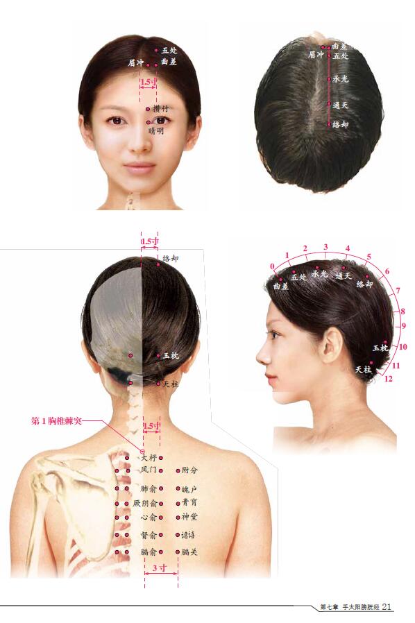 惠典正版女性经络穴位高清图册 附赠人体经络穴位速查手册 近200张