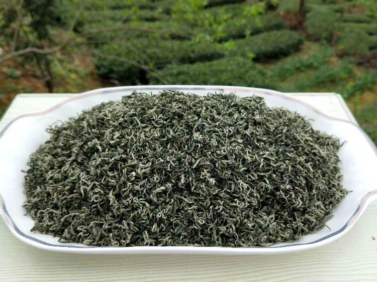 2020明前湄潭毛尖绿茶贵州高山农家生态茶都匀毛尖散装直销250g