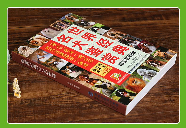 世界经典名犬鉴赏养狗书籍狗狗训练教程训犬书正版狗的品种大全图世界