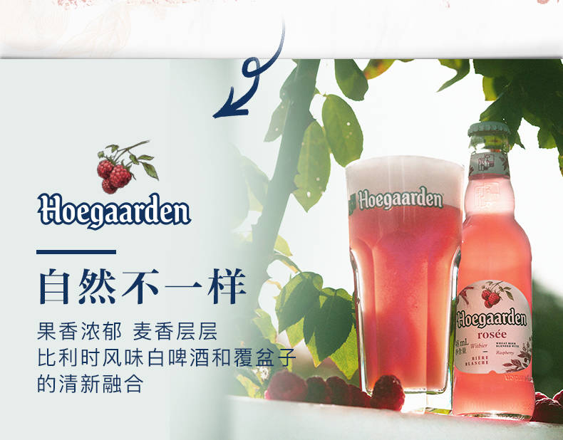 hoegaarden福佳玫瑰啤酒比利时风味248ml6瓶体验装