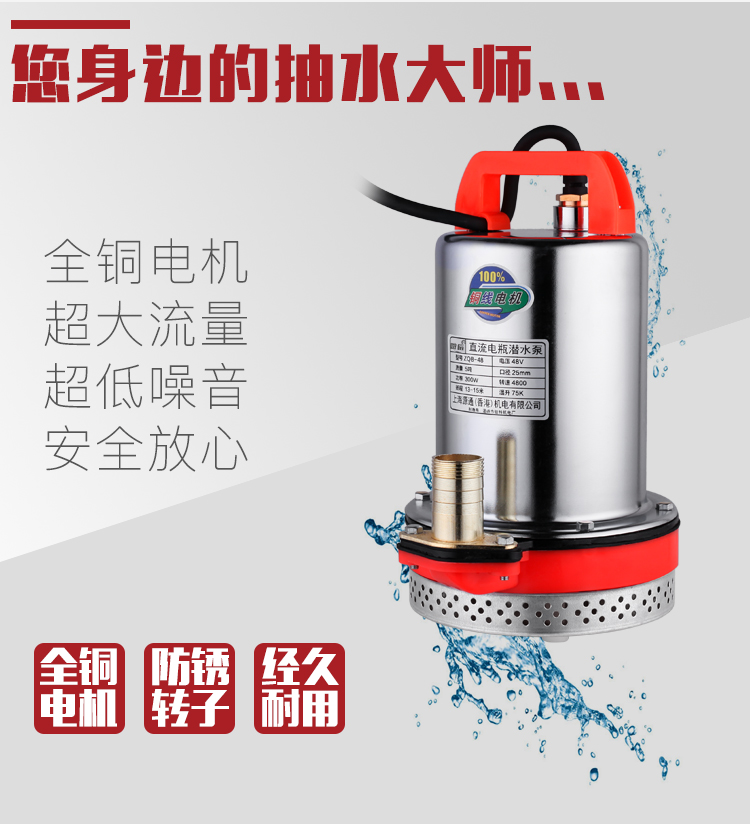 永森瑞泵 定做 直流潜水泵农用水泵12v24v48v水泵泵60v电瓶船用水井