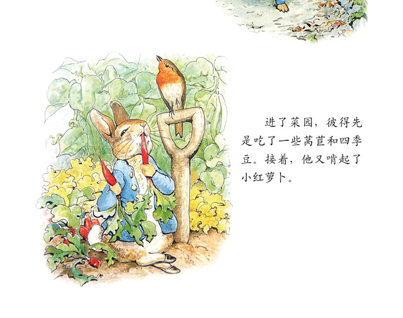 彼得兔的故事绘本全集8册比得兔和他的朋友们非注音版一年级课外书