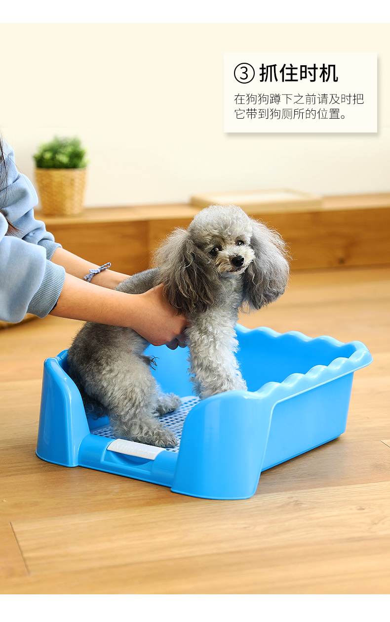 狗厕所狗狗用品小型犬便盆小狗拉屎宠物