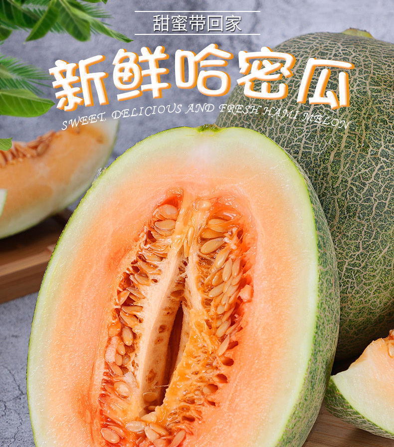海南哈密瓜西州蜜孕妇当季水果新鲜整箱小甜瓜网纹金小蜜瓜 2-3个精选