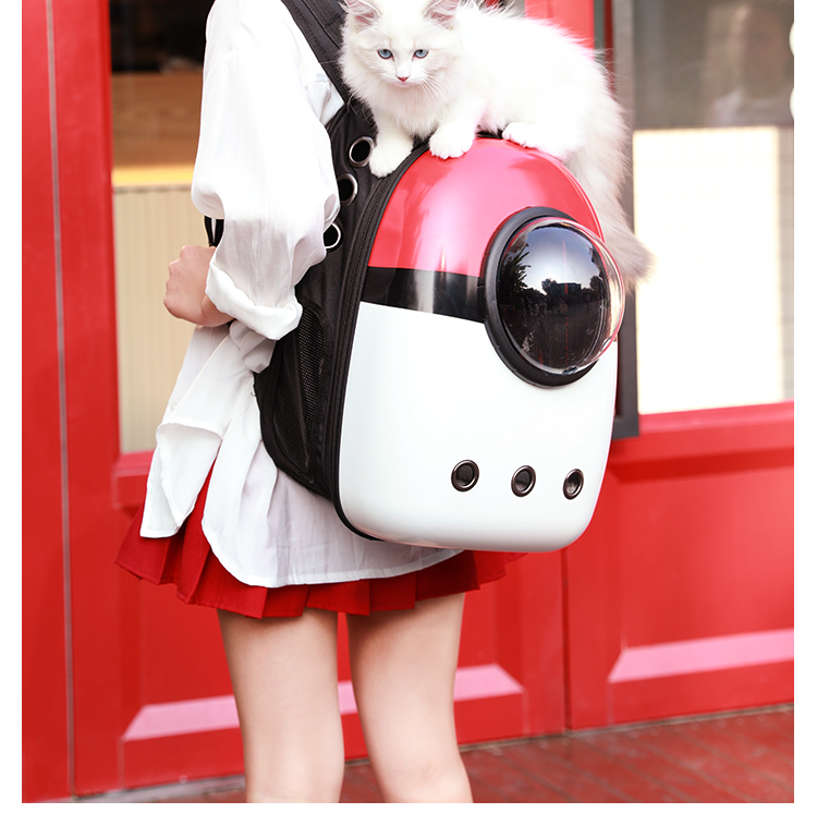 京弗 猫包外出便携太空舱透明透气猫咪精灵球双肩大空间猫猫背包 升级