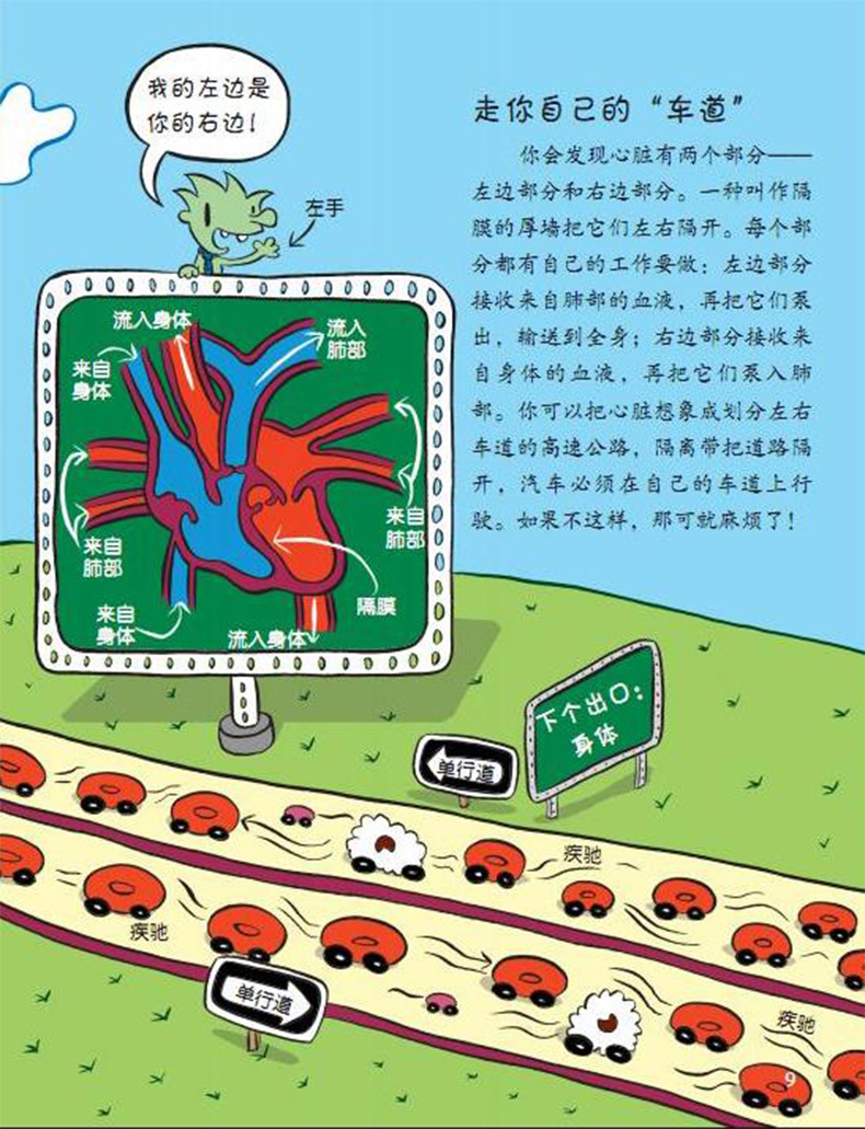 【诺森正版】葫芦弟弟 正版 血液循环之旅(绘本平装)美国青少年 馆