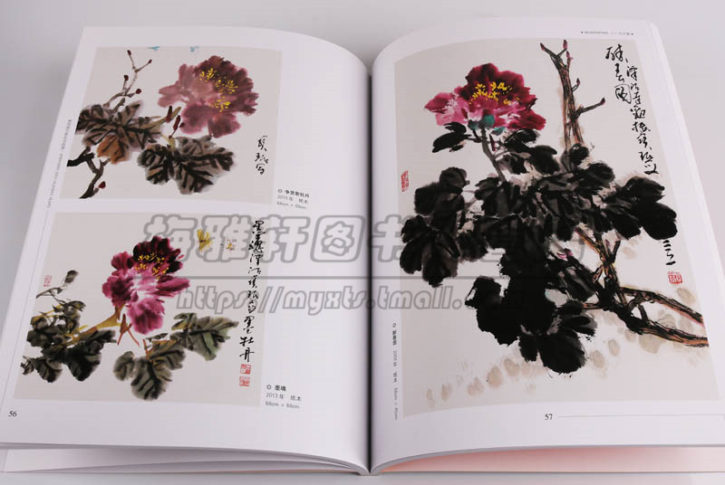 写意牡丹技法贾宝珉中国画水墨牡丹花技法画法步骤如何怎么样画基础入