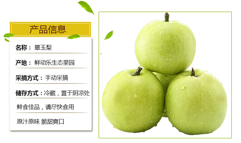 梨子新鲜整箱10斤砀山梨梨雪梨应季带箱贡梨水果当季现摘三天内发货