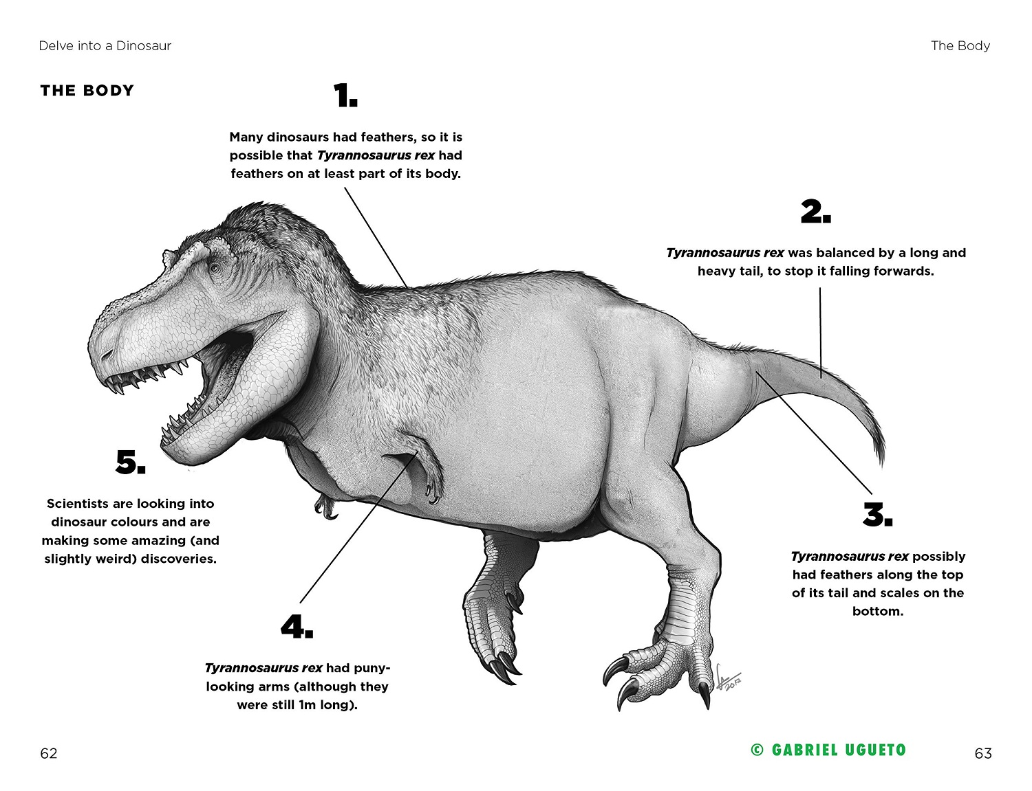 soyouthinkyouknowabouttyrannosaurusrex英文原版恐龙百科你