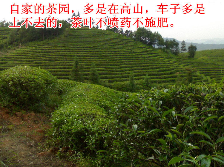 艺嘉赫净化除味 买一斤送半斤 蜜香金骏眉茶叶新茶山.