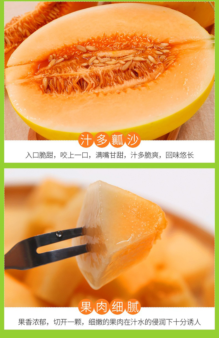果农富陕西阎良黄金蜜瓜502斤约13个黄皮甜瓜新鲜水果金瓜香瓜18蜜